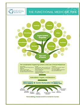 Functional Medicine Tree & Link to PDF Document